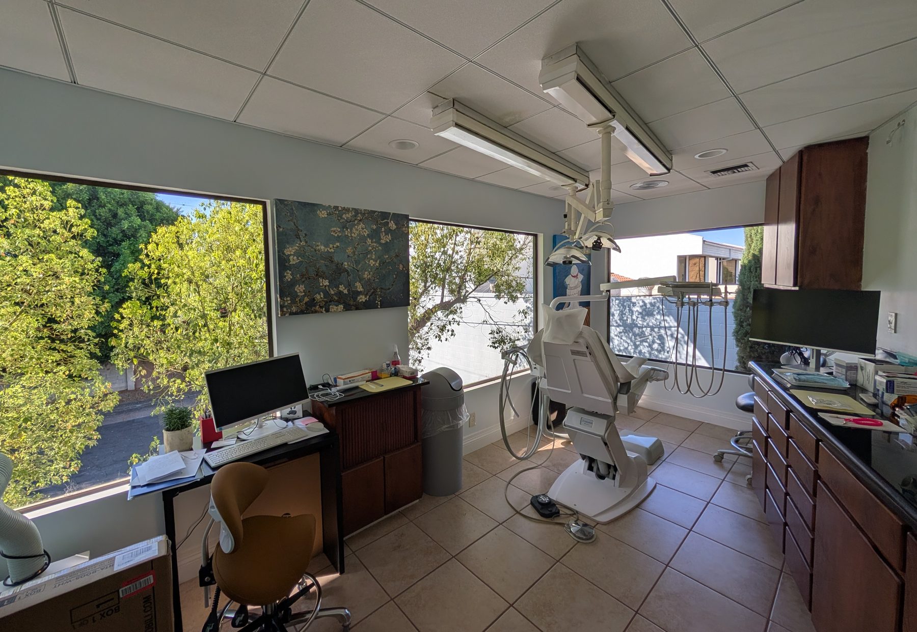 Treatment room at The Tender Dentist, with trees outside the windows